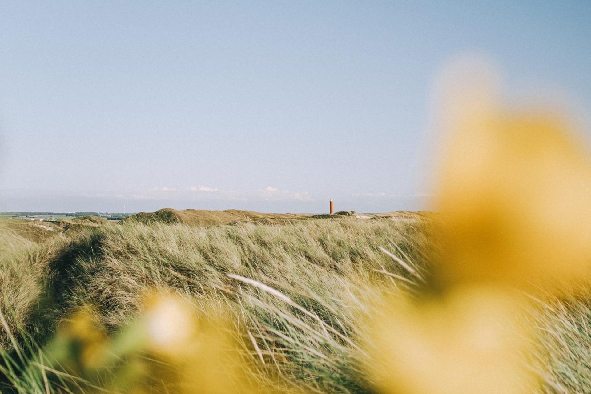 De Duintuin - In De Duinen, Groote Keeten Aan Zee Callantsoog Ngoại thất bức ảnh