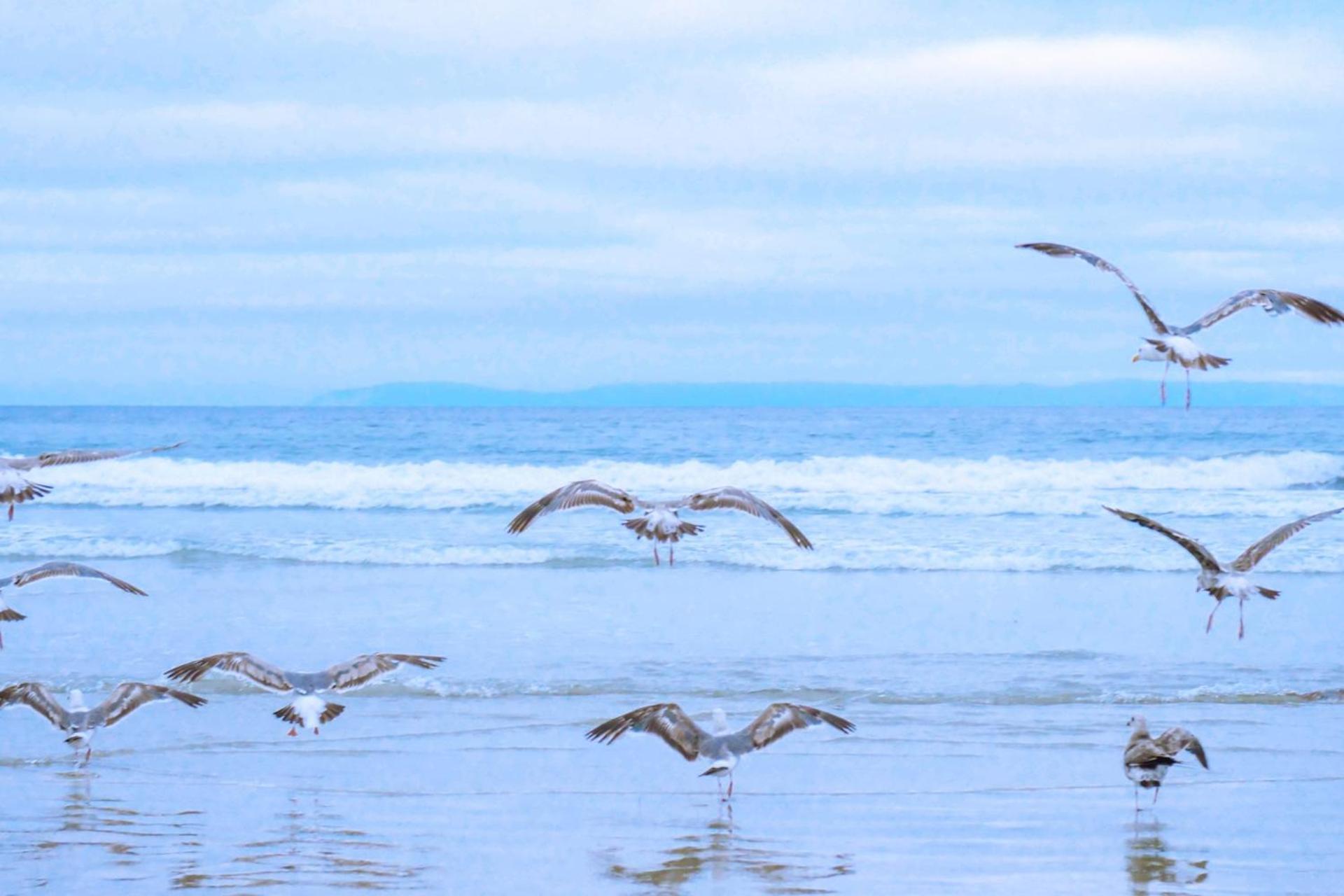 De Duintuin - In De Duinen, Groote Keeten Aan Zee Callantsoog Ngoại thất bức ảnh