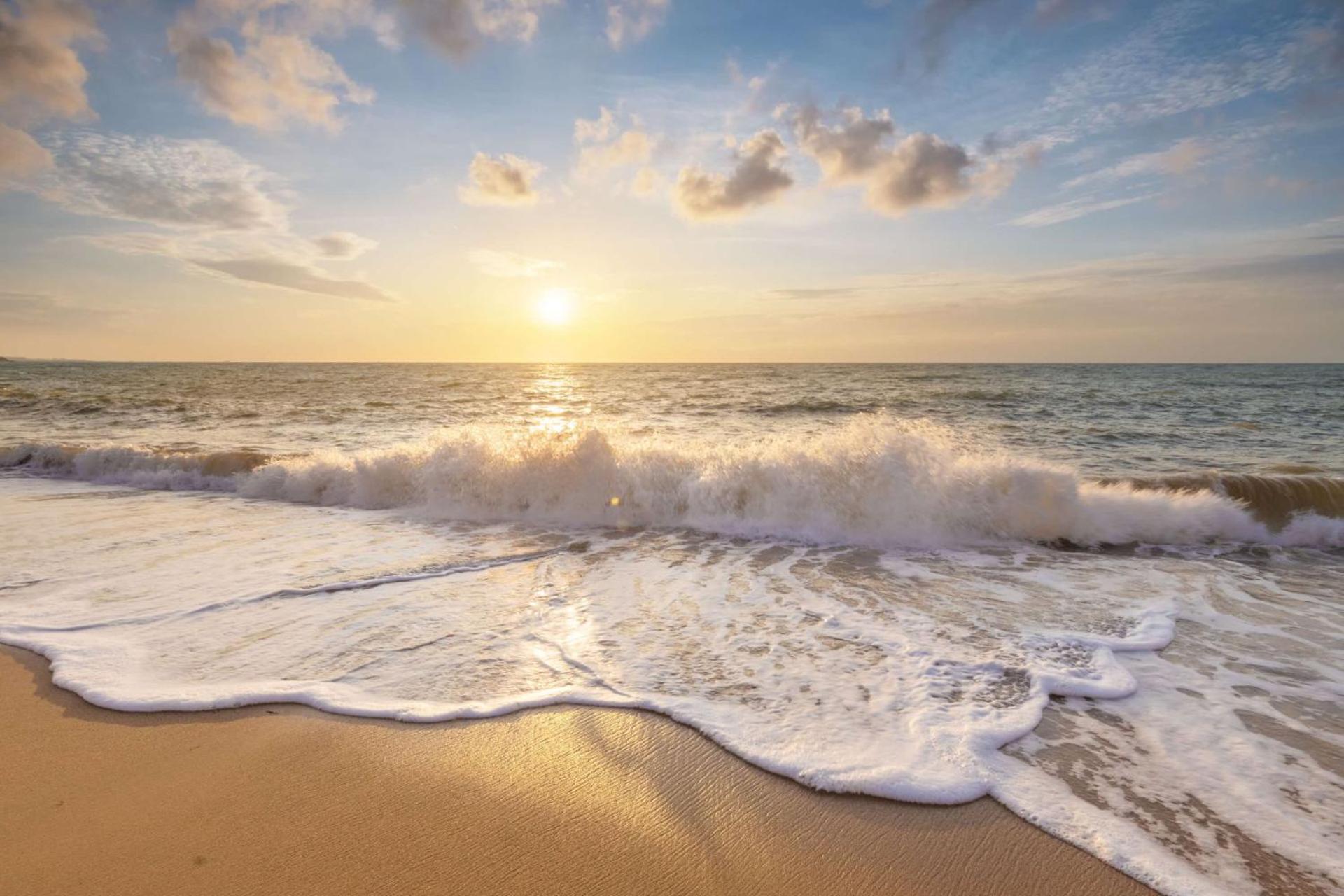 De Duintuin - In De Duinen, Groote Keeten Aan Zee Callantsoog Ngoại thất bức ảnh