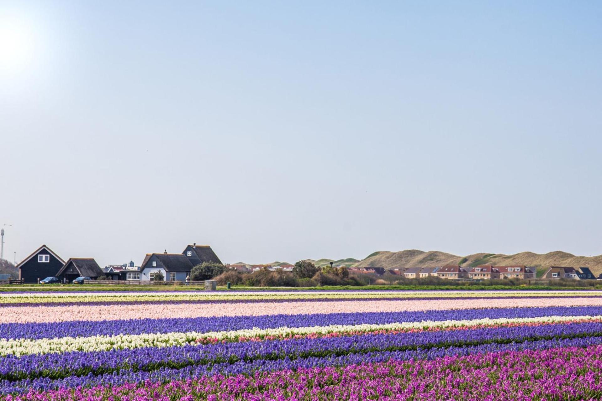 De Duintuin - In De Duinen, Groote Keeten Aan Zee Callantsoog Ngoại thất bức ảnh